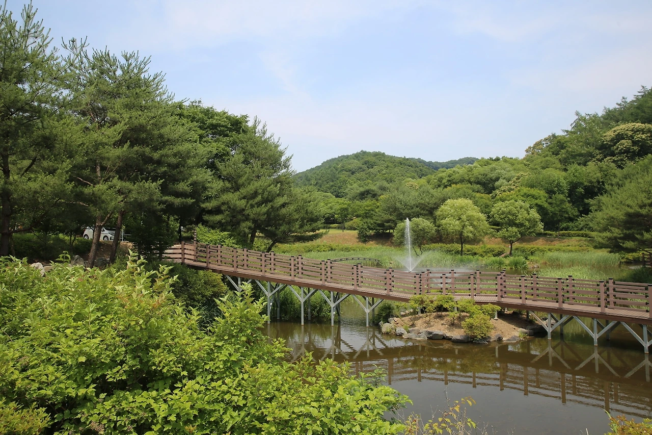 MG0A2406_новый размер.JPG