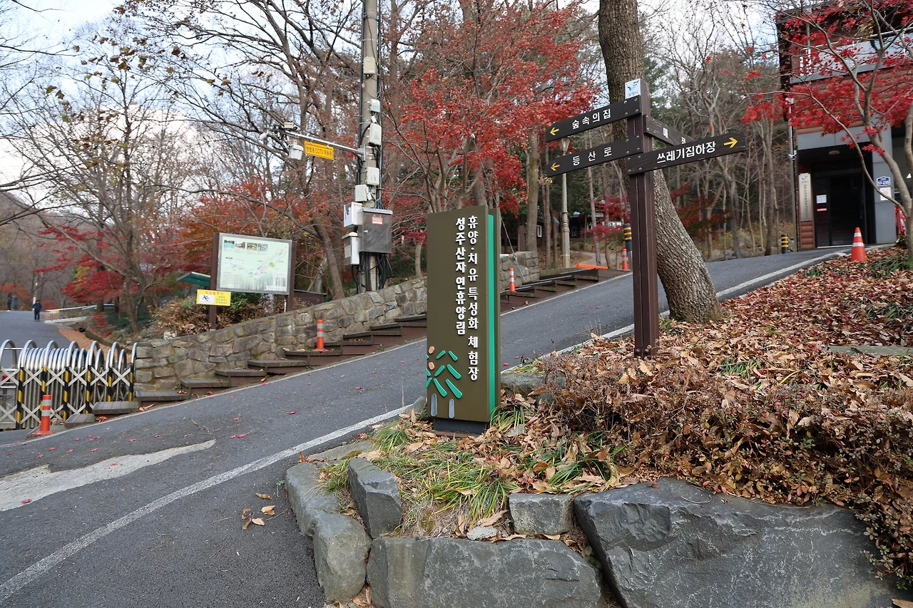 0R5A3124_новый размер.JPG