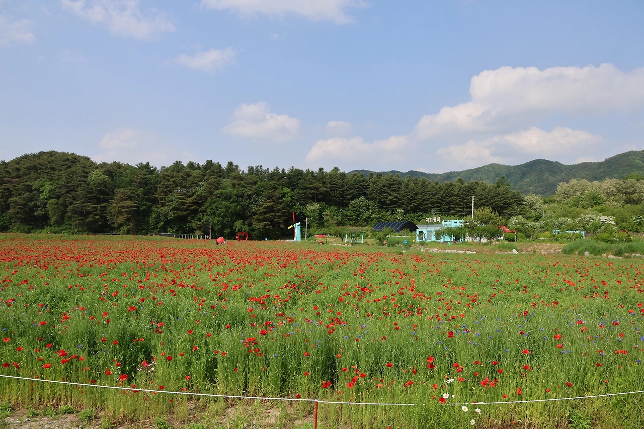 0R5A1523_новый размер.JPG