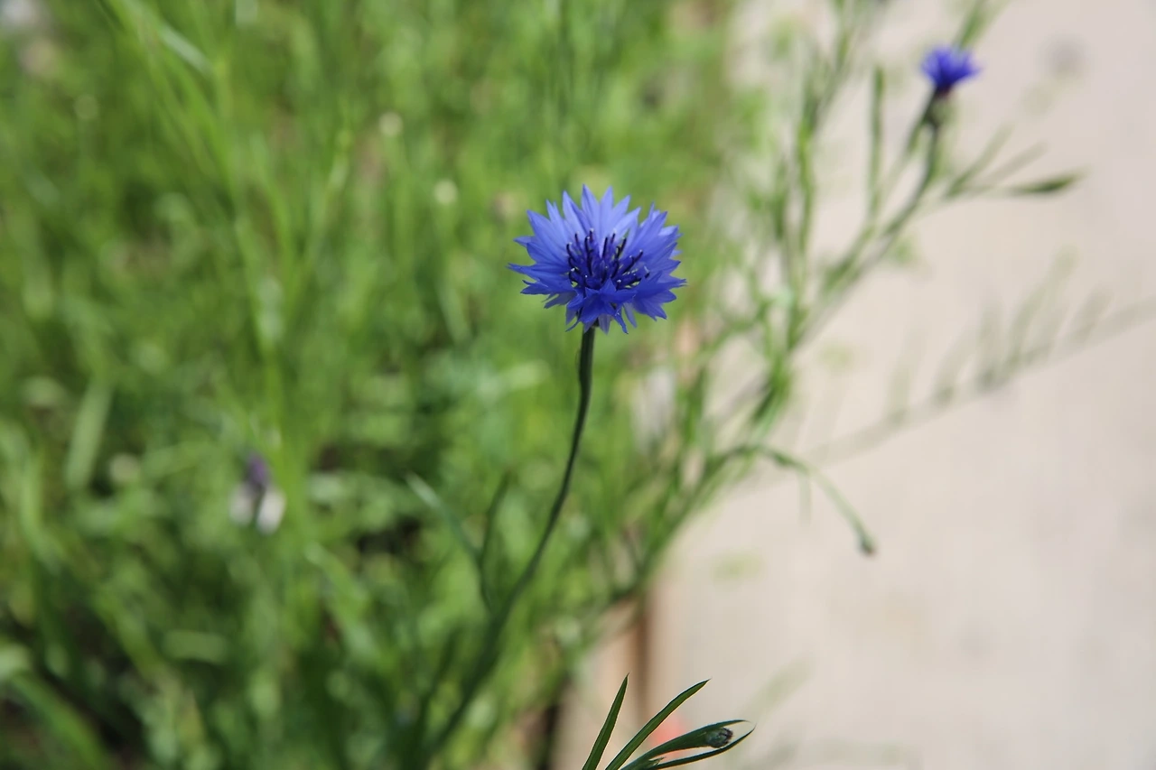 MG0A9221_новый размер.JPG