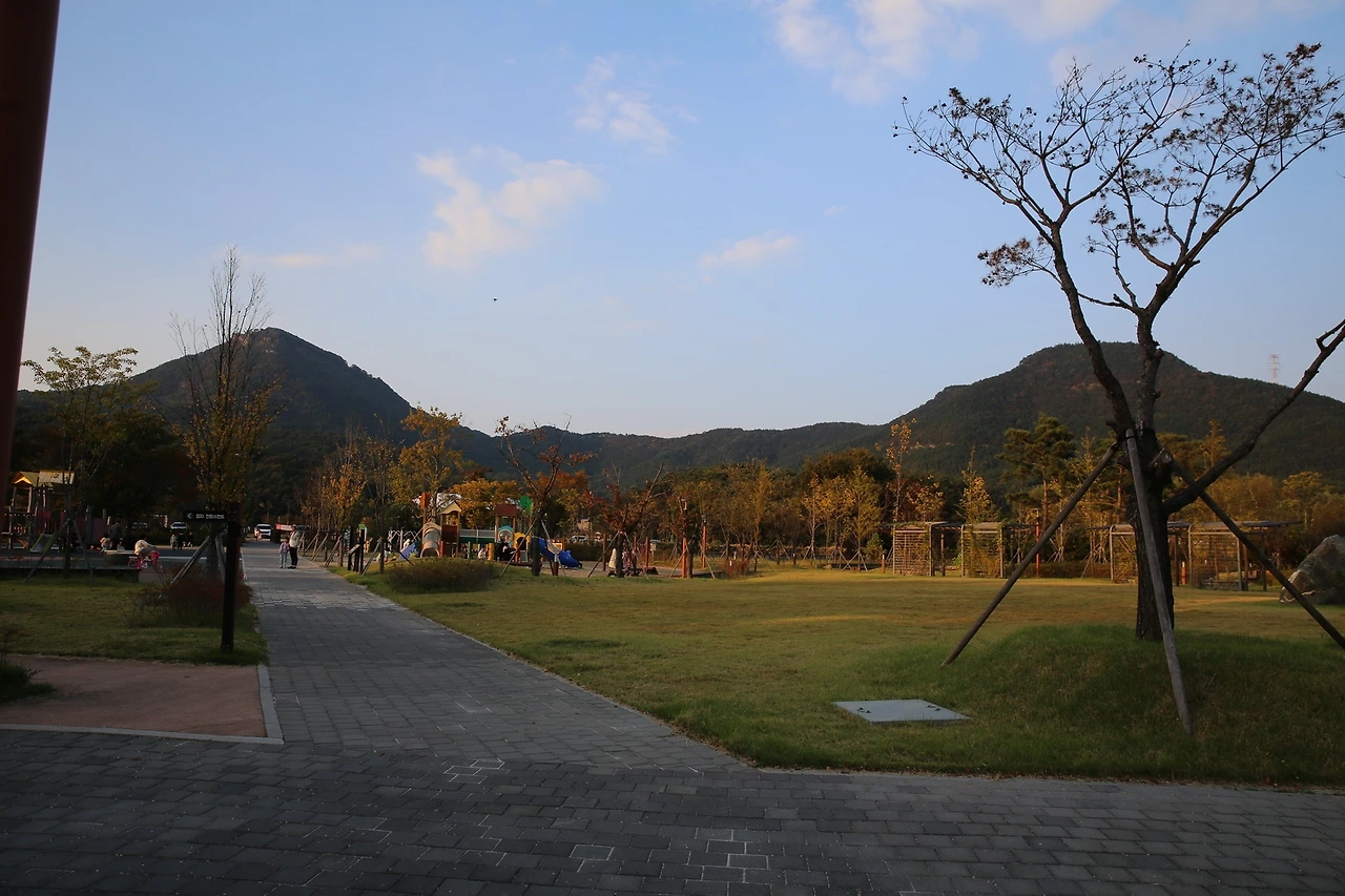 MG0A6597_новый размер.JPG