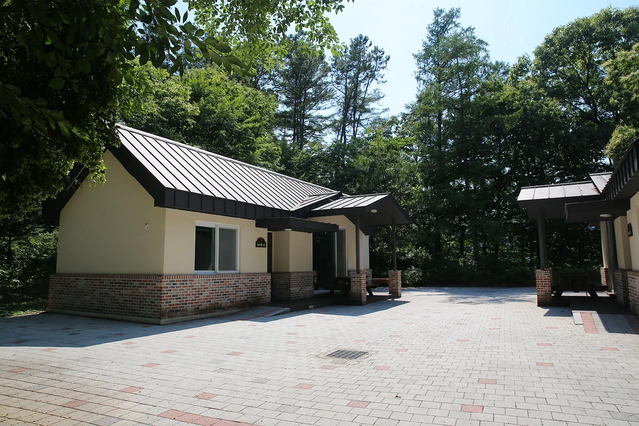 MG0A2211_новый размер.JPG