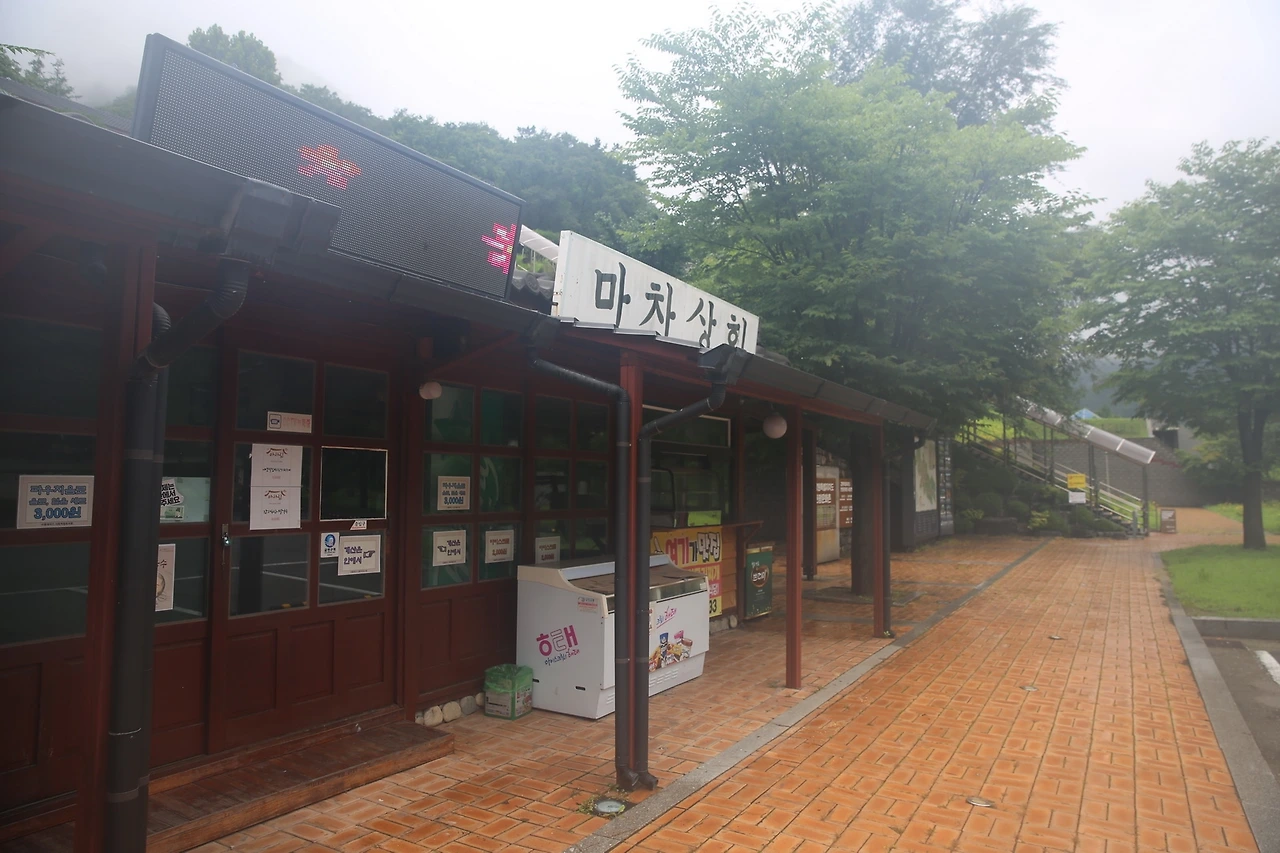 MG0A6349_новый размер.JPG