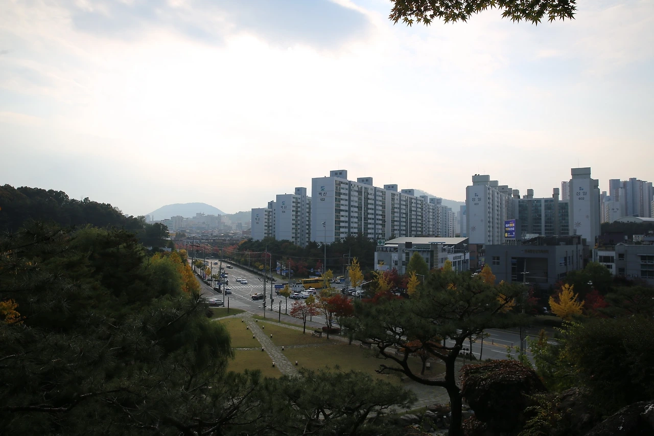 MG0A7637_новый размер.JPG