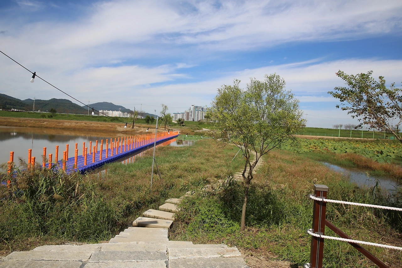 MG0A2729_новый размер.JPG