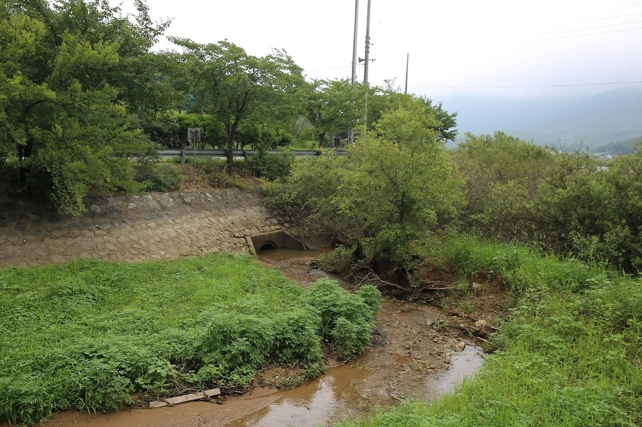 MG0A3576_новый размер.JPG