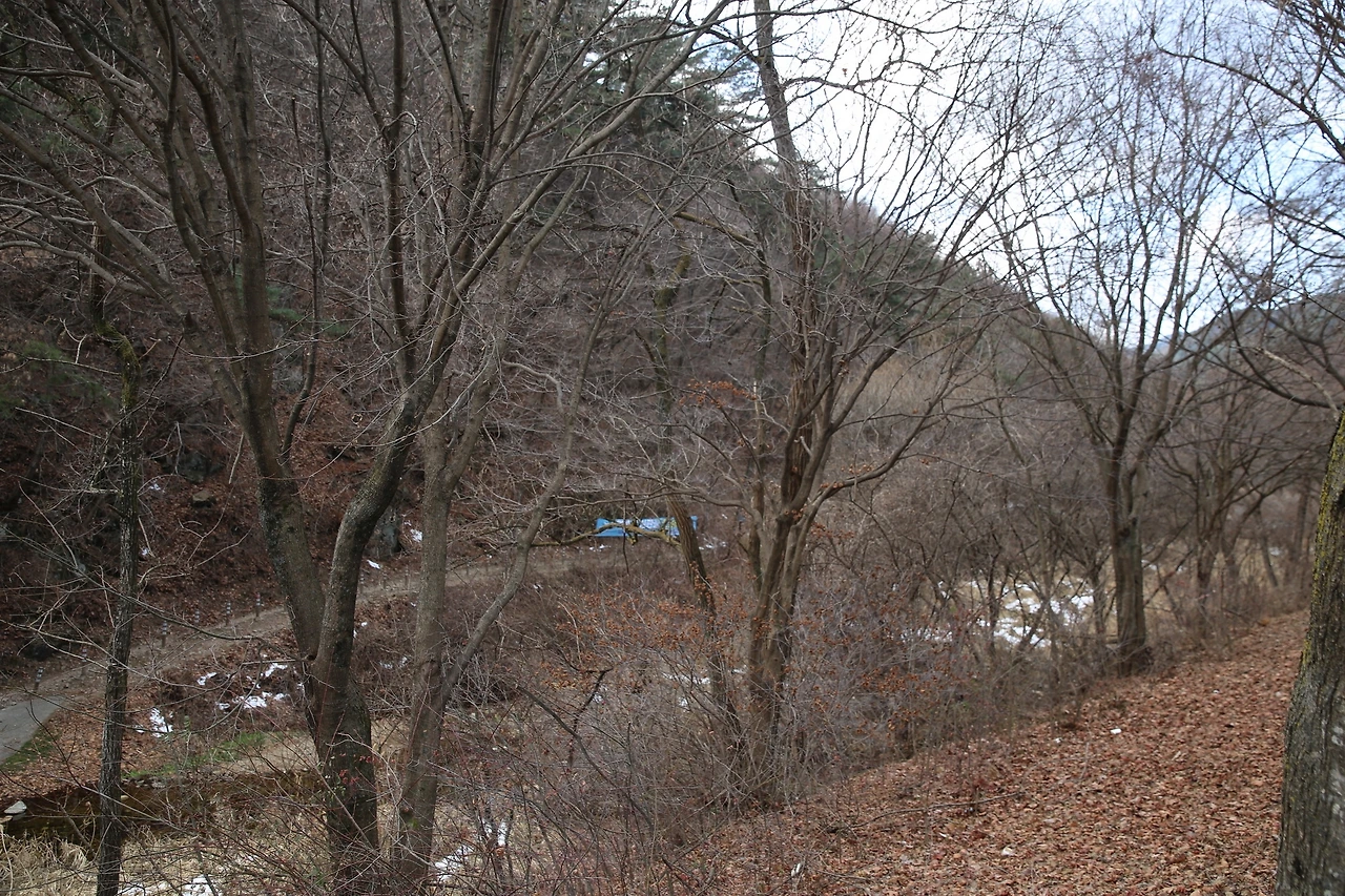 MG0A4973_новый размер.JPG