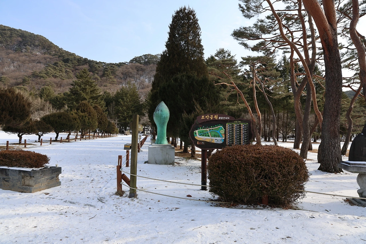 0R5A8158_новый размер.JPG