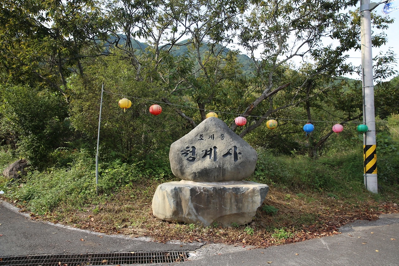 MG0A5843_новый размер.JPG