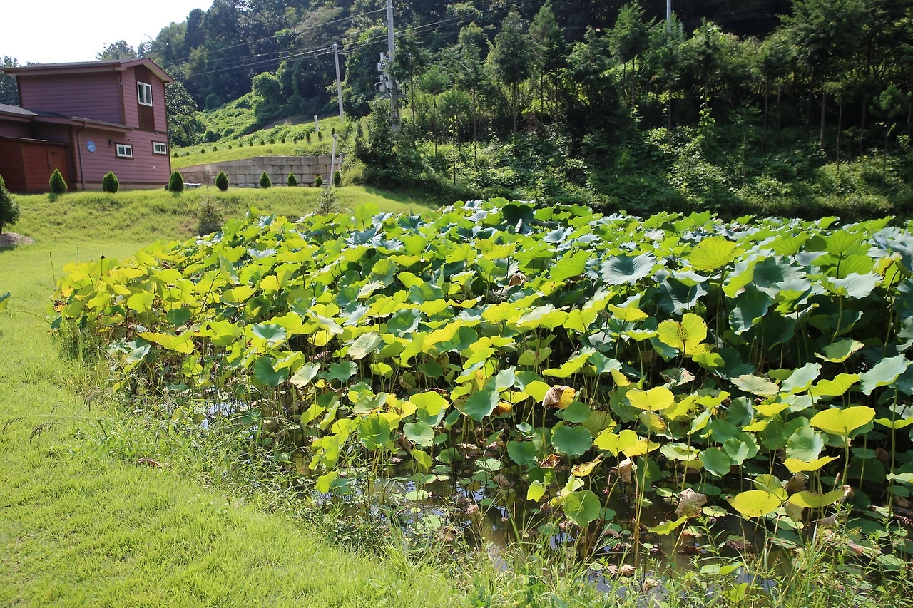 MG0A1512_новый размер.JPG