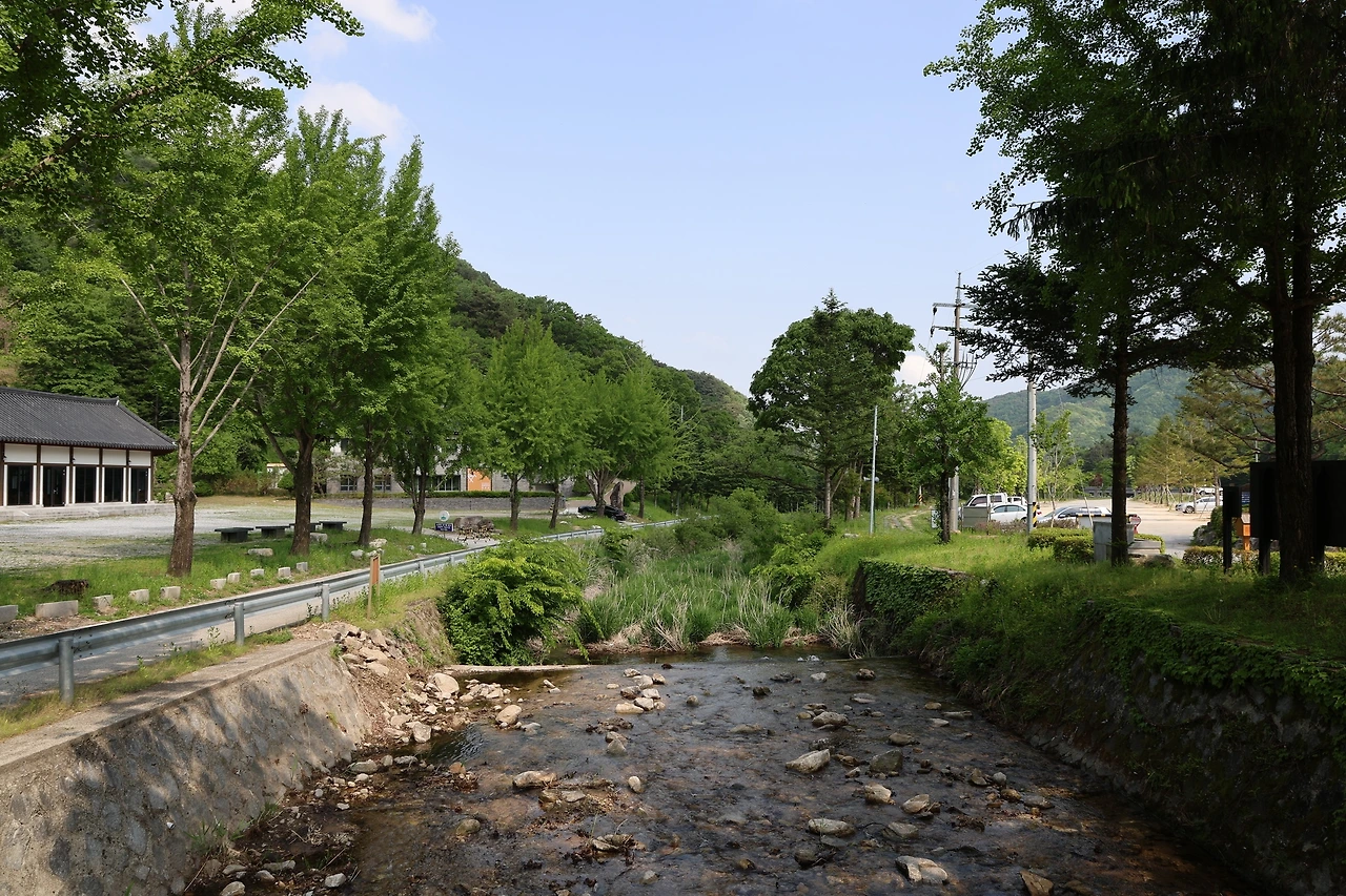 0R5A1507_новый размер.JPG