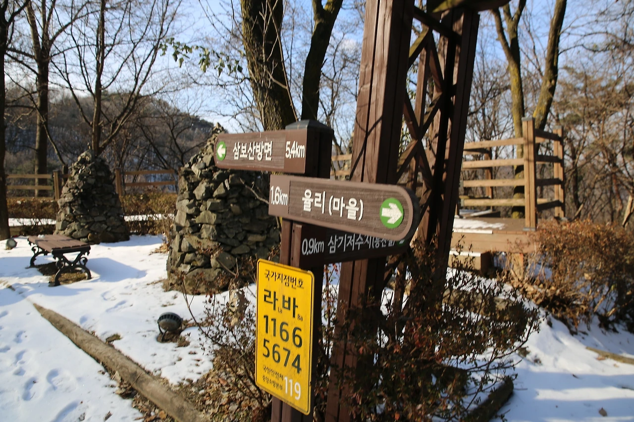 MG0A5585_новый размер.JPG