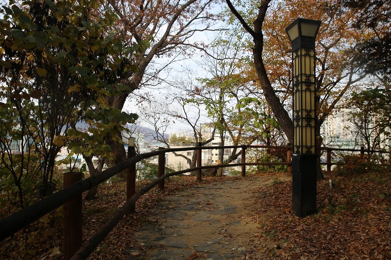 MG0A1756_новый размер.JPG