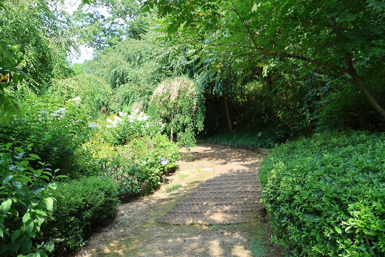 0R5A0378_новый размер.JPG