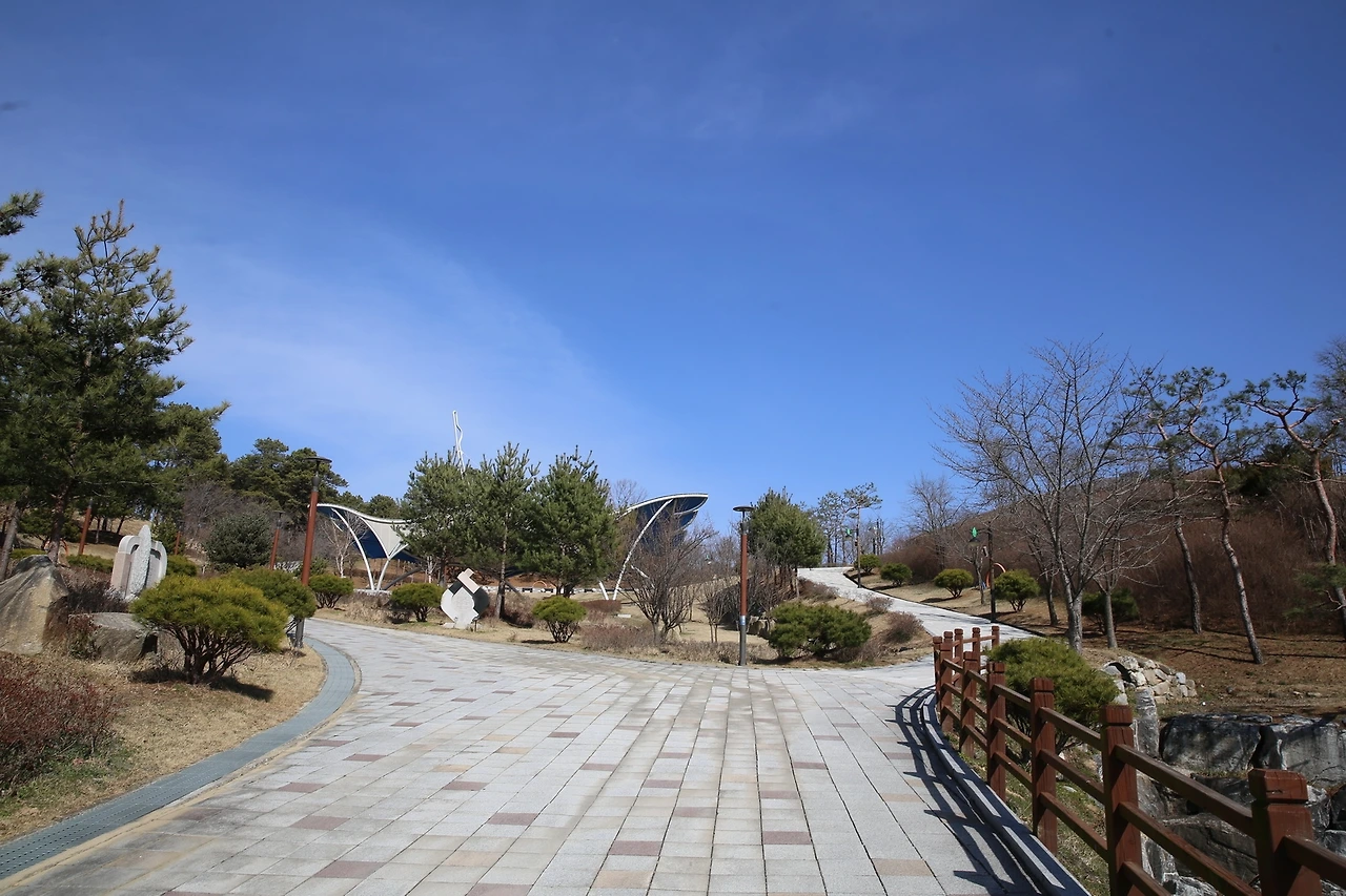 MG0A1835_новый размер.JPG