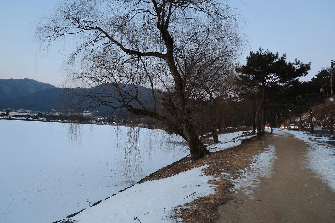 0R5A8257_новый размер.JPG