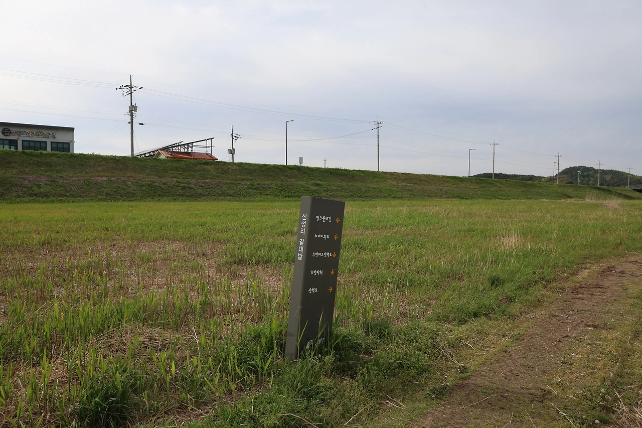 0R5A8478_новый размер.JPG