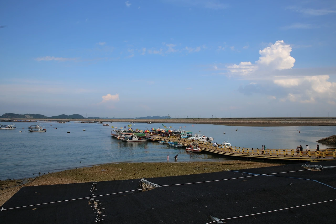 MG0A7053_новый размер.JPG