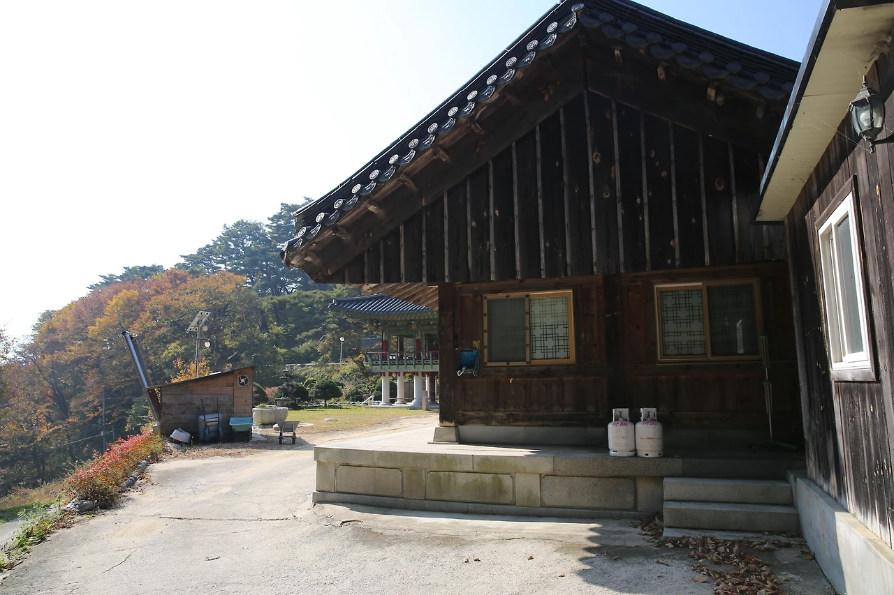 MG0A8227_новый размер.JPG