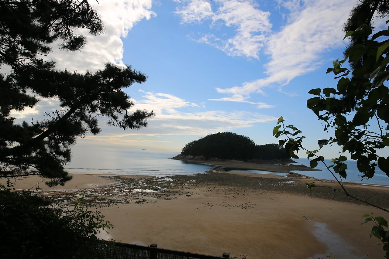 MG0A1434_новый размер.JPG