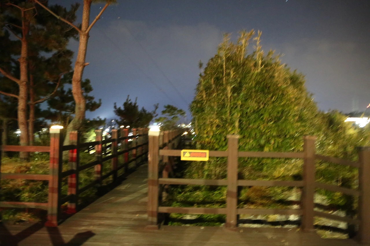 MG0A4703_новый размер.JPG