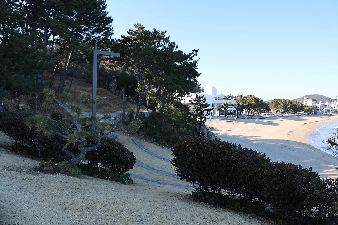 0R5A7896_новый размер.JPG