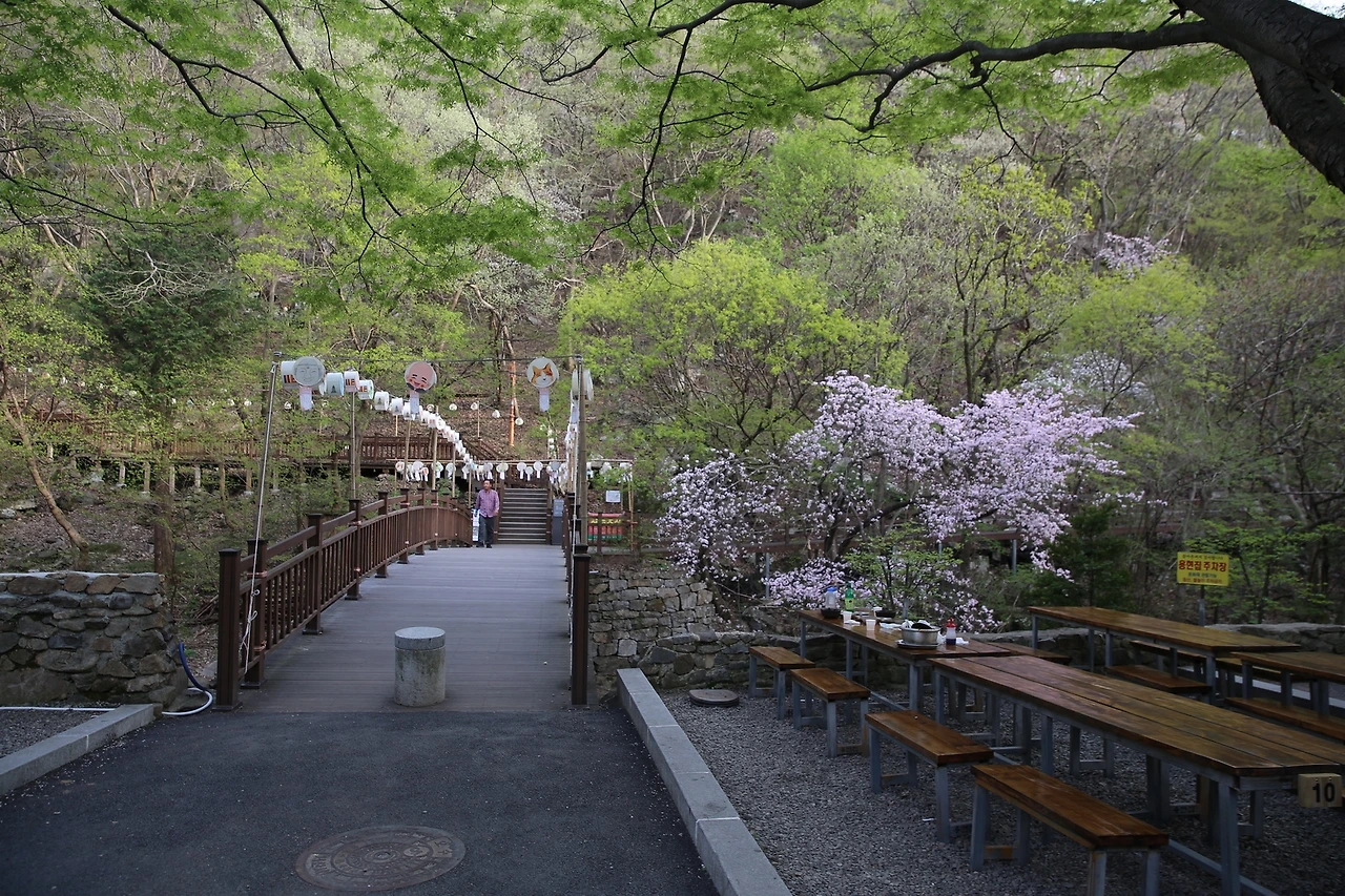 MG0A9510_новый размер.JPG