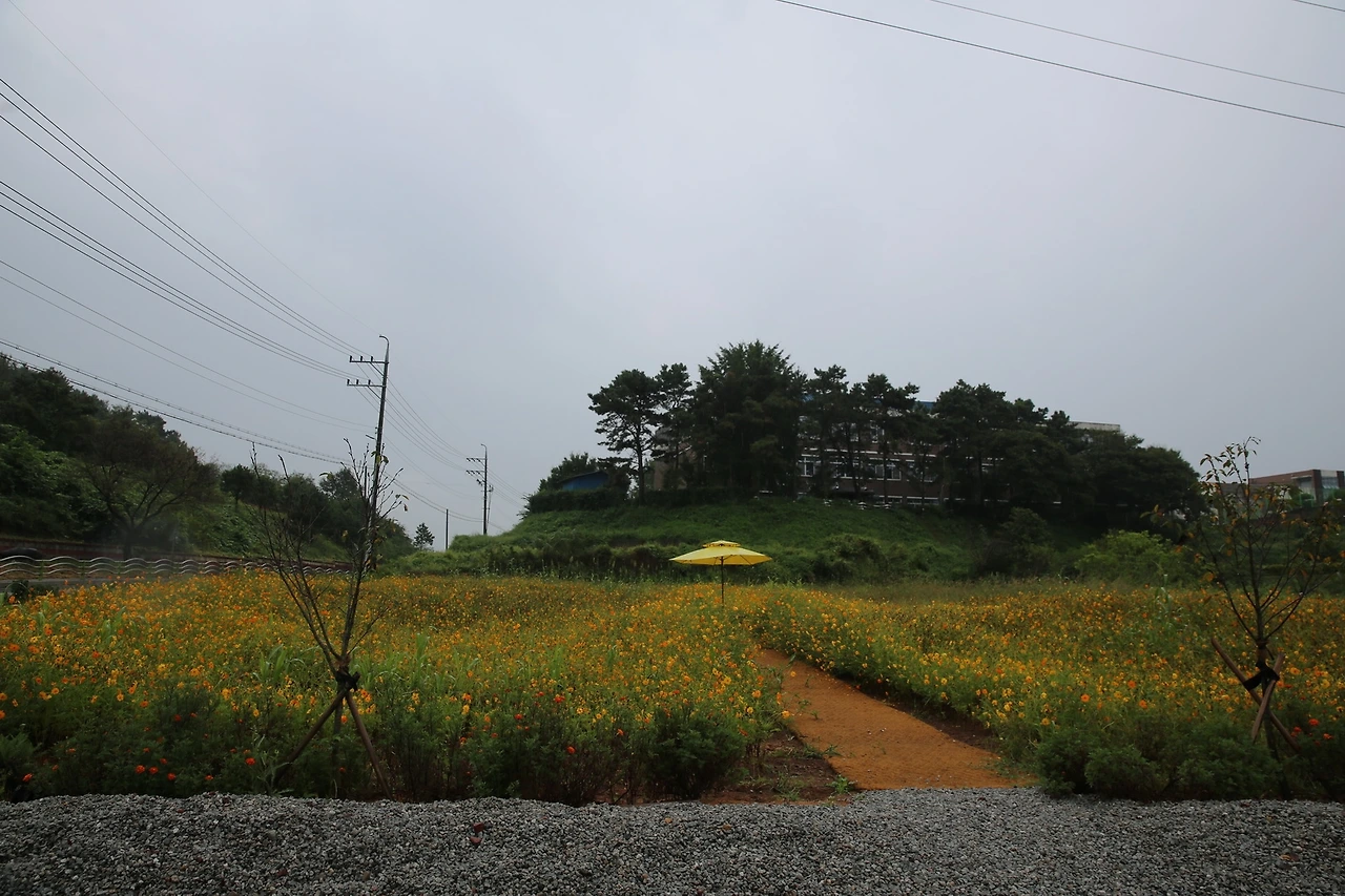 MG0A1779_новый размер.JPG