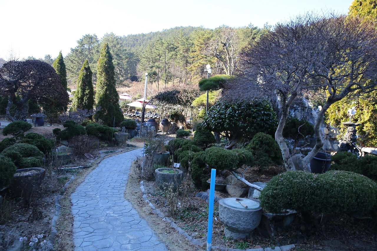 MG0A4763_новый размер.JPG