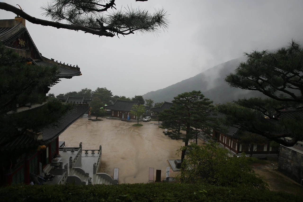 MG0A3227_новый размер.JPG