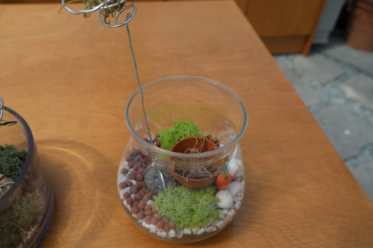 0R5A1831_новый размер.JPG