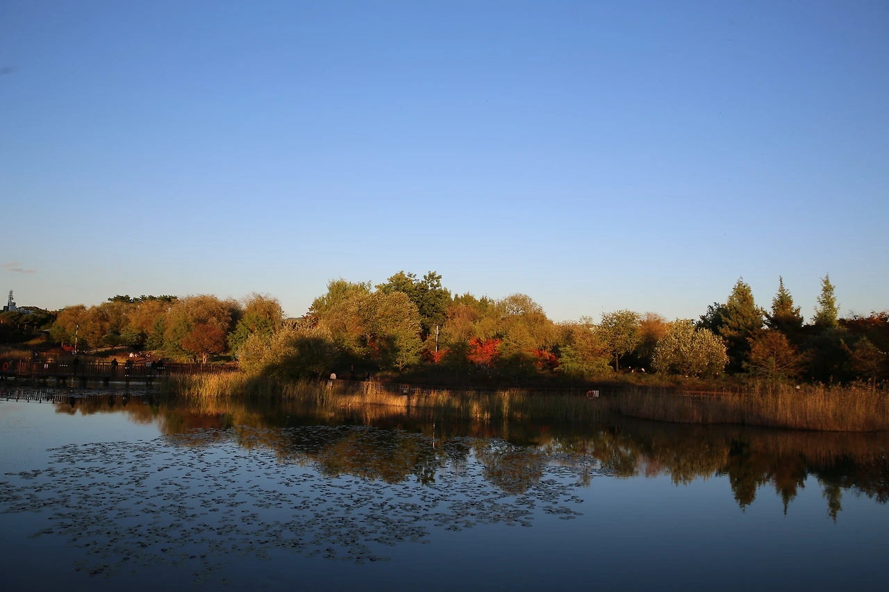 MG0A7241_новый размер.JPG