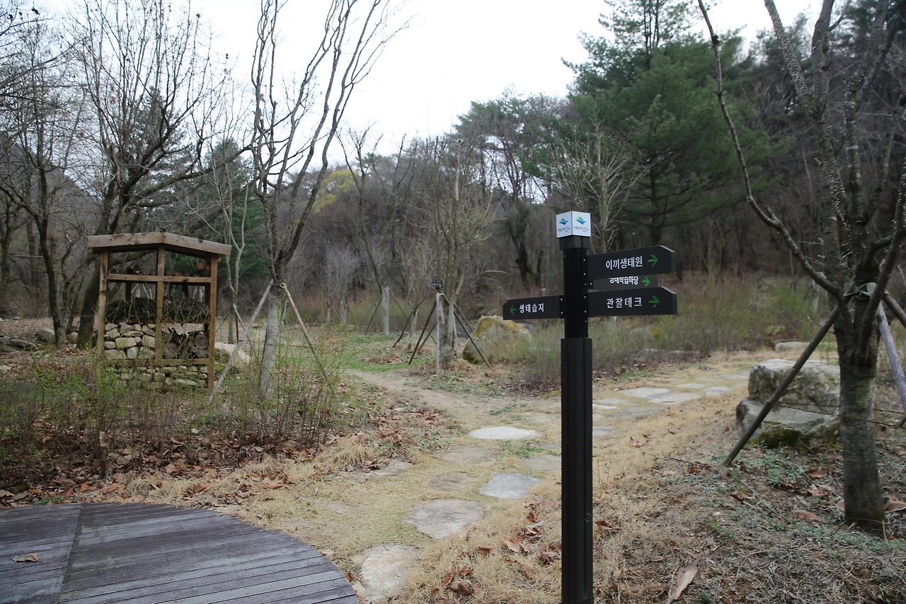 MG0A8374_новый размер.JPG