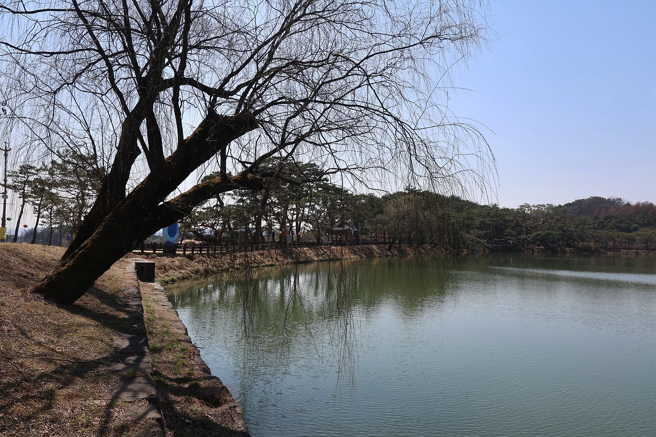 0R5A5414_новый размер.JPG