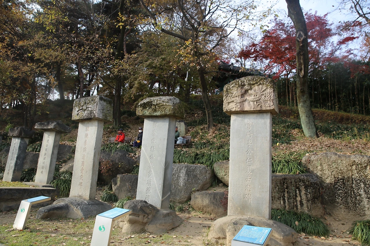 MG0A1749_новый размер.JPG