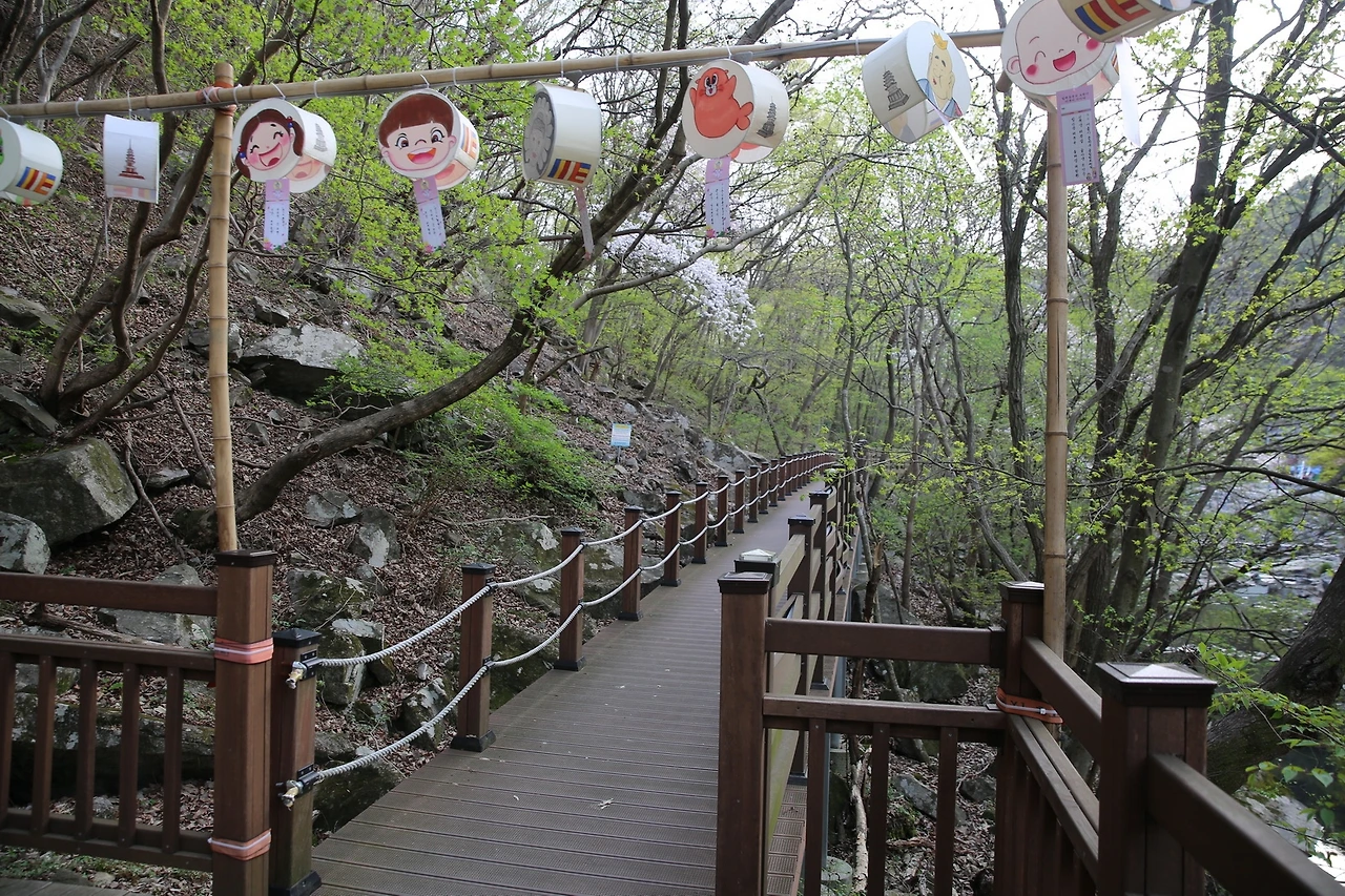 MG0A9517_новый размер.JPG