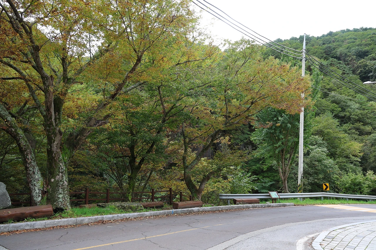 0R5A9773_новый размер.JPG