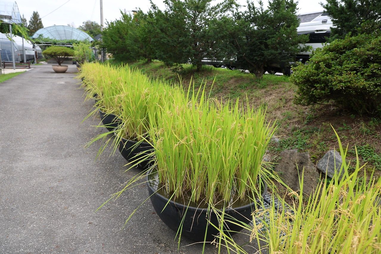 0R5A7719_новый размер.JPG