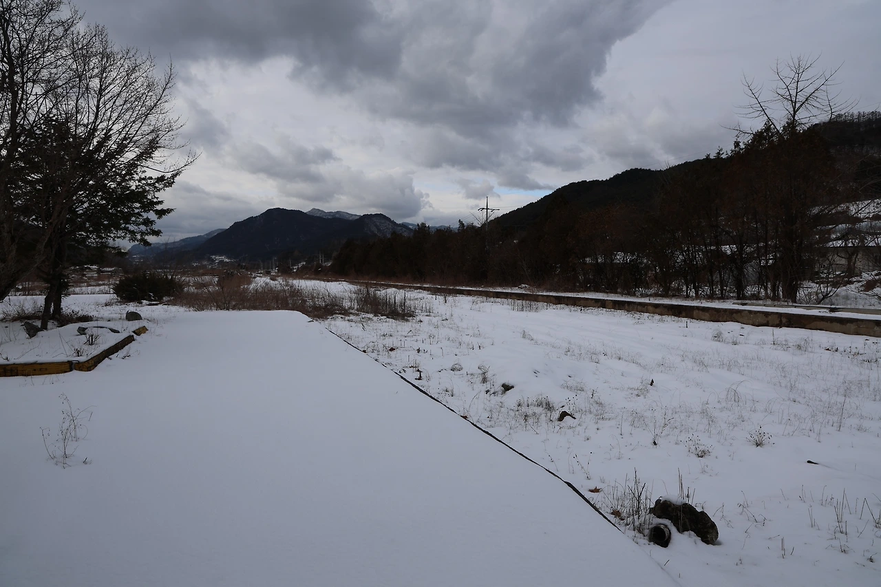 0R5A1676_новый размер.JPG