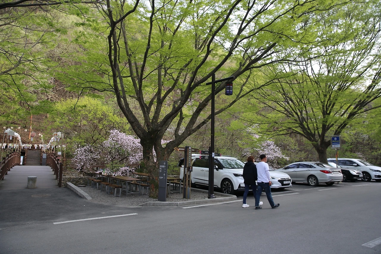 MG0A9508_новый размер.JPG