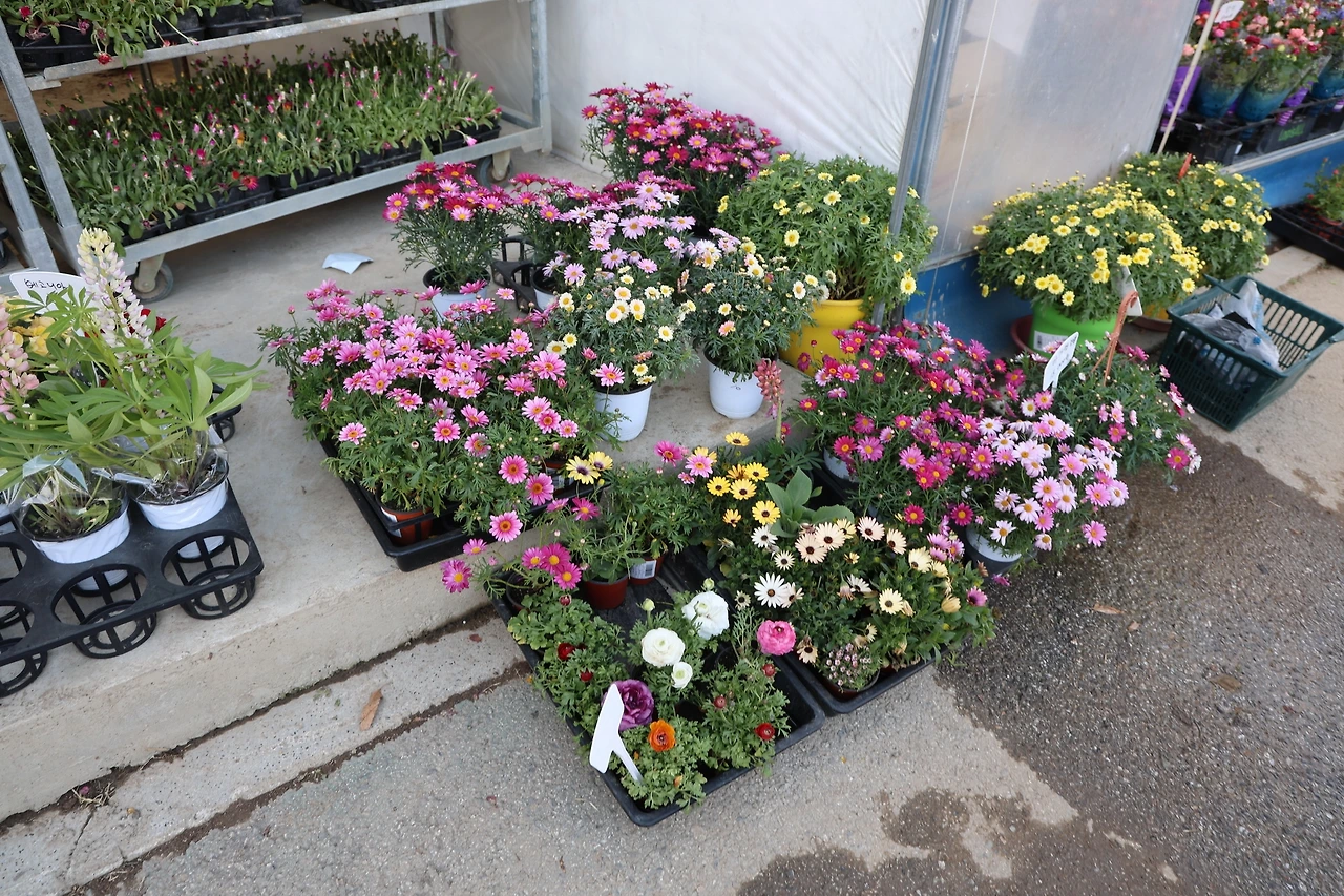 0R5A4874_новый размер.JPG