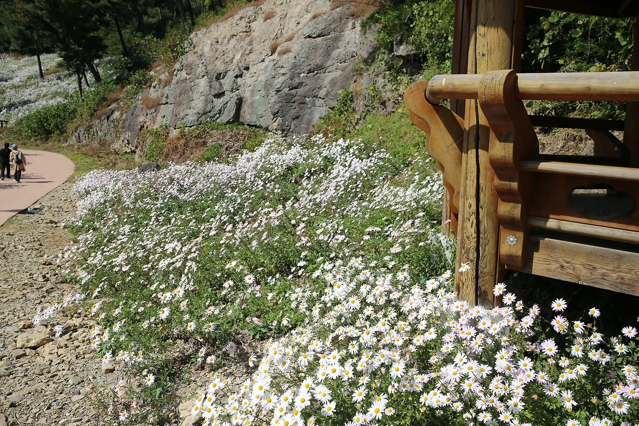 MG0A6196_новый размер.JPG