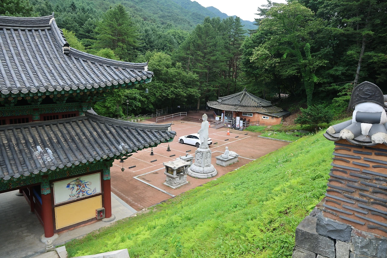 0R5A7620_новый размер.JPG