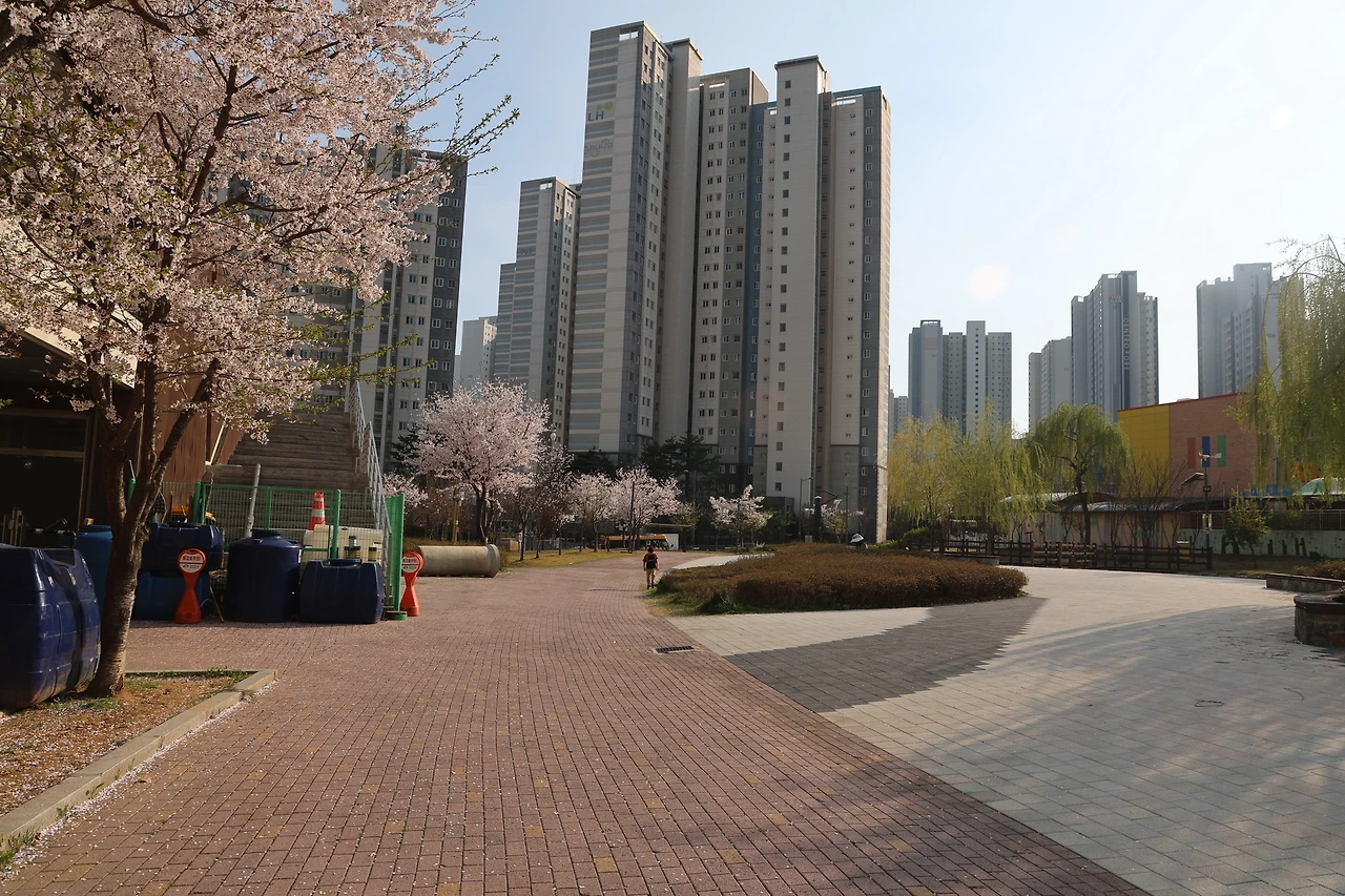 0R5A6303_новый размер.JPG