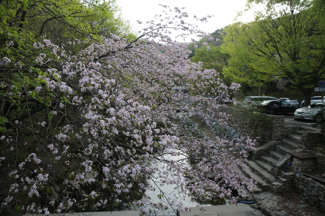 MG0A9514_новый размер.JPG