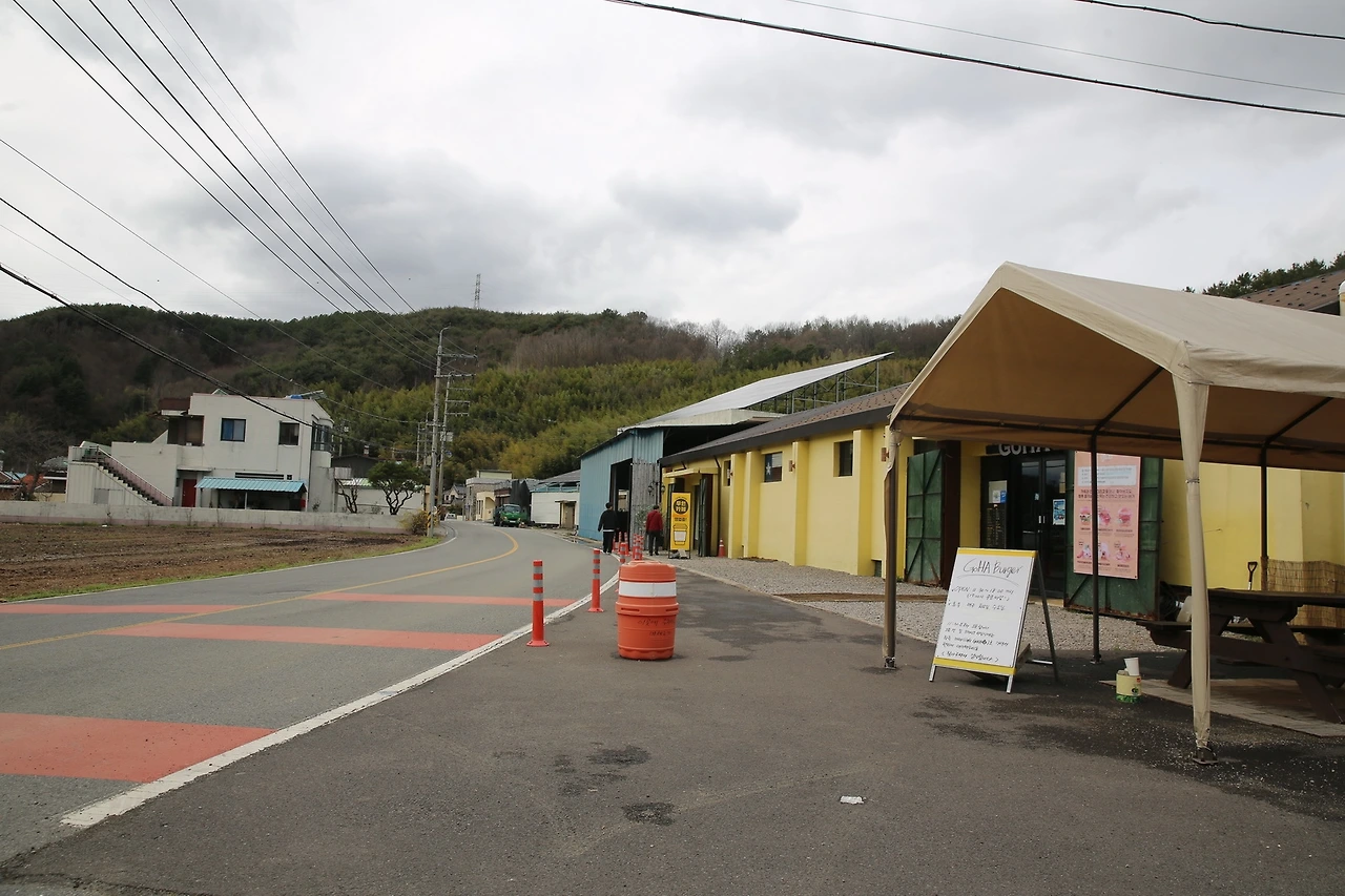 MG0A6949_новый размер.JPG