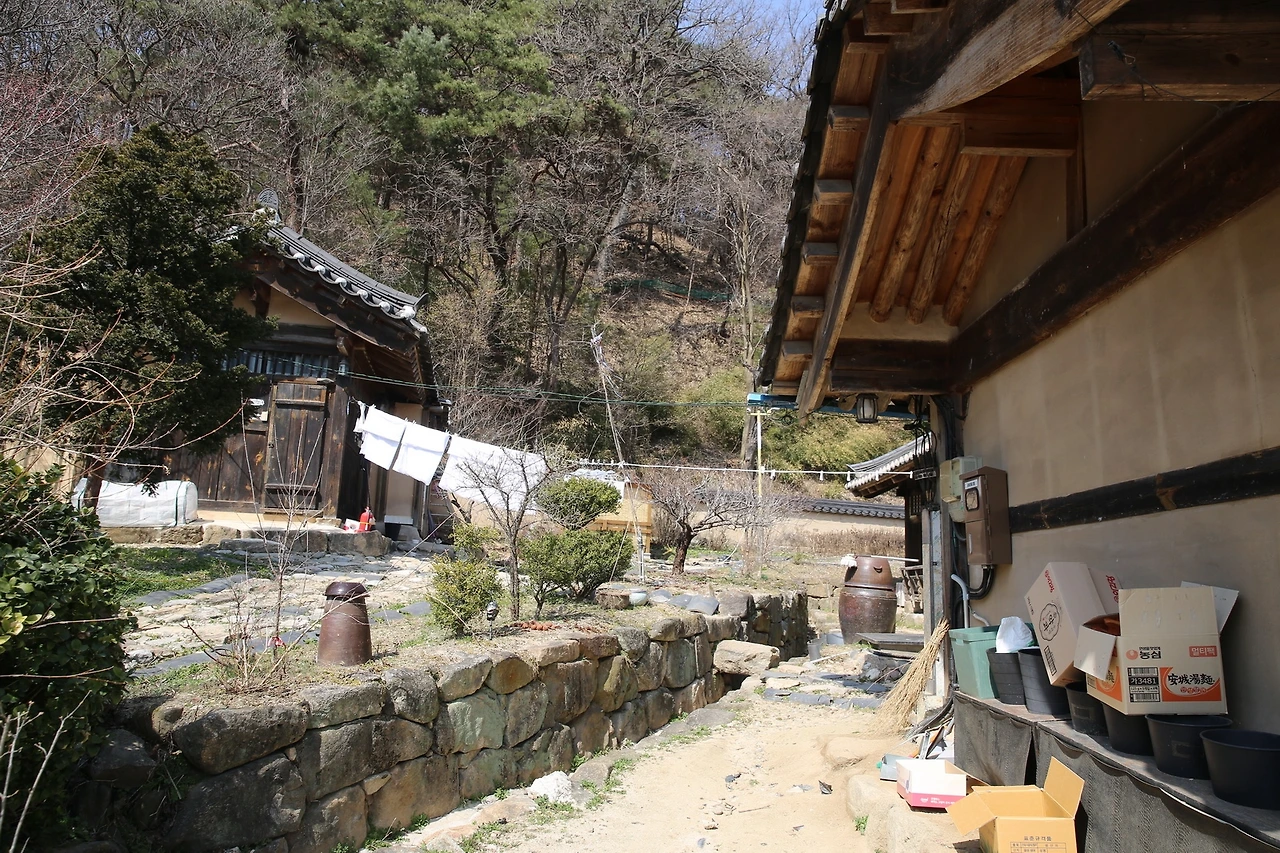 MG0A4743_новый размер.JPG