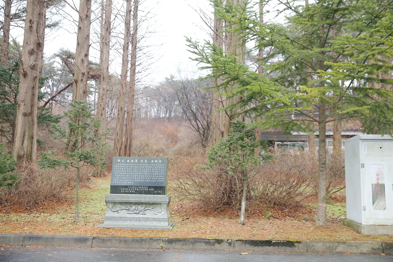 MG0A7108_новый размер_exposure.JPG