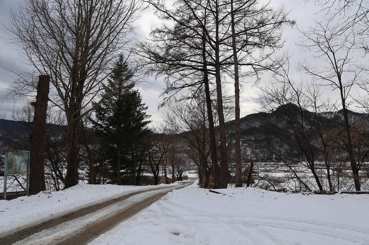 0R5A1669_новый размер.JPG