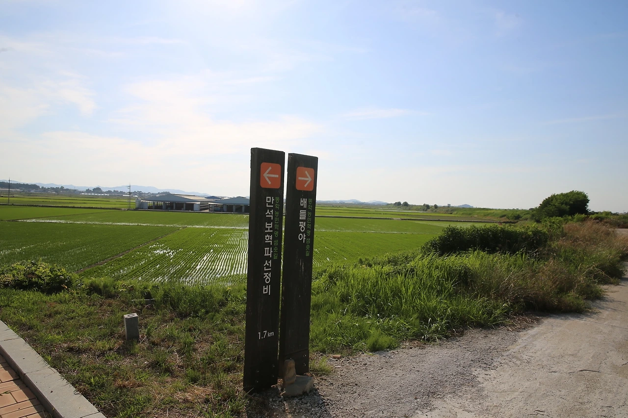 MG0A9069_новый размер.JPG